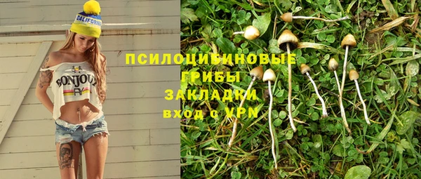 трава Верея