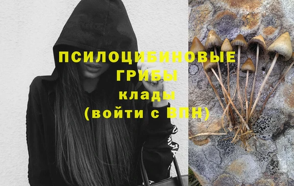 трава Верхний Тагил