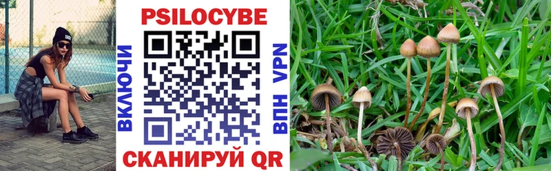 Галлюциногенные грибы Psilocybine cubensis наркотики Избербаш