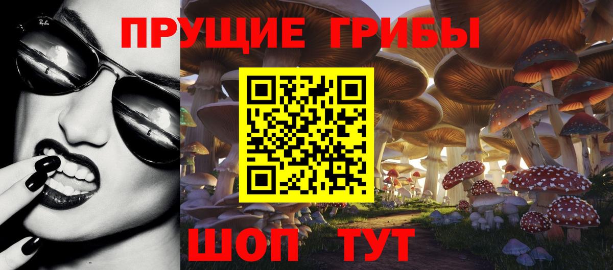 Псилоцибиновые грибы Magic Shrooms  Галлюциногенные грибы ЛСД  Вход с VPN  Избербаш 