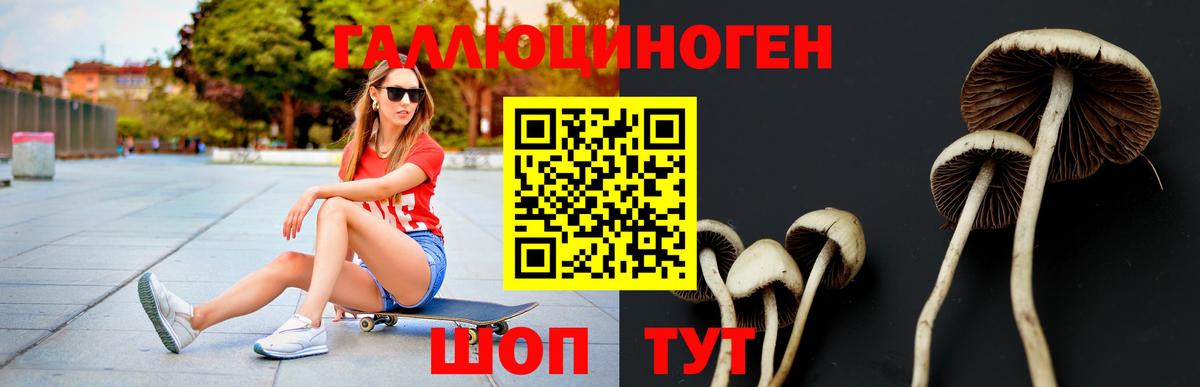 Галлюциногенные грибы Psilocybine cubensis  где можно купить   Избербаш  Псилоцибиновые грибы Psilocybine cubensis 
